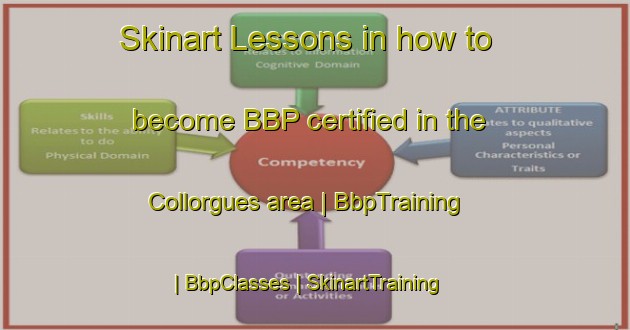 Skinart Lessons in how to become BBP certified in the Collorgues area | BbpTraining | BbpClasses | SkinartTraining-France